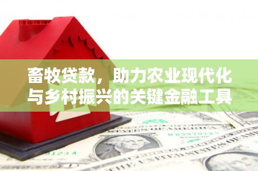 长安畜牧贷款，助力农业现代化与乡村振兴的关键金融工具