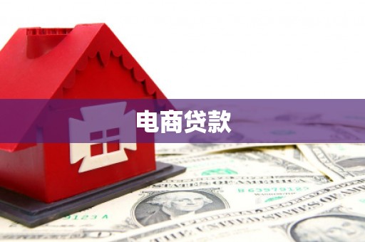 瑞穗电商贷款