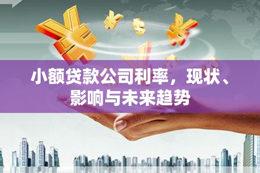 耒阳小额贷款公司利率，现状、影响与未来趋势