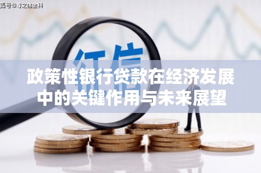 吴堡政策性银行贷款在经济发展中的关键作用与未来展望