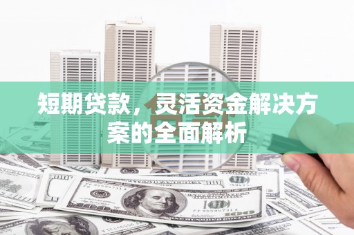 汝南短期贷款，灵活资金解决方案的全面解析