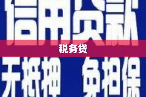 金寨税务贷