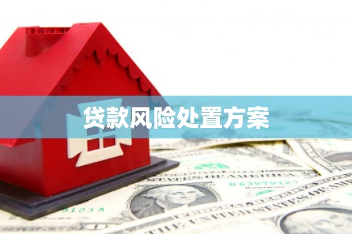 戚墅堰贷款风险处置方案