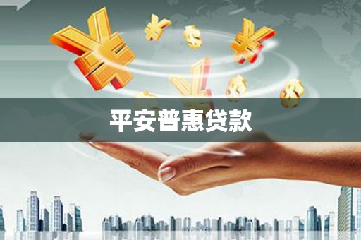 王益平安普惠贷款