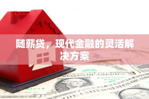 阳高随薪贷，现代金融的灵活解决方案