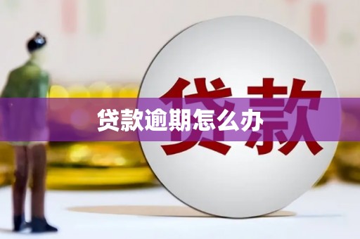 驿城贷款逾期怎么办