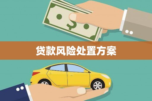 和林格尔贷款风险处置方案
