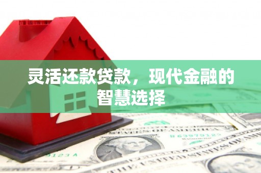 吴忠灵活还款贷款，现代金融的智慧选择