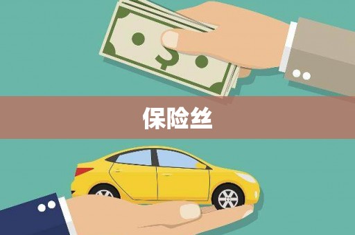 永康保险丝