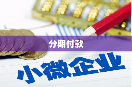 兴安分期付款