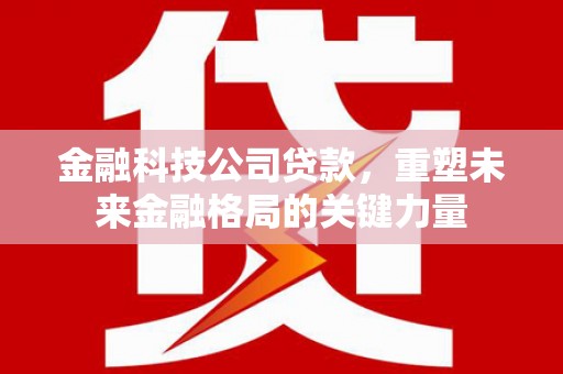荷塘金融科技公司贷款，重塑未来金融格局的关键力量