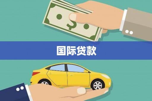 云林国际贷款