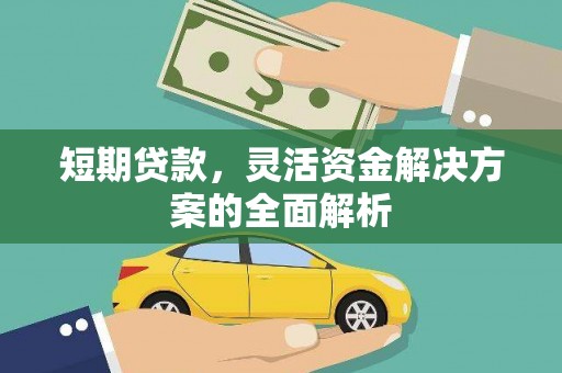 二林短期贷款，灵活资金解决方案的全面解析