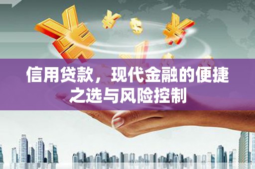 巴音郭楞蒙古信用贷款，现代金融的便捷之选与风险控制