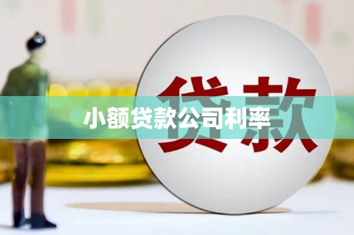 泰安小额贷款公司利率