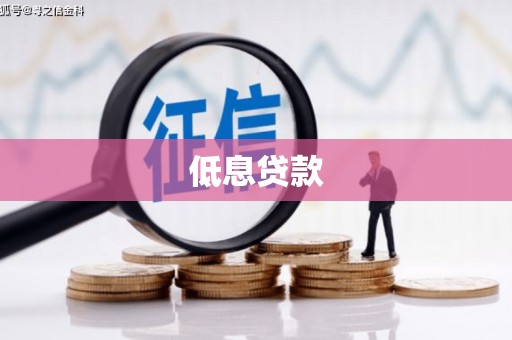 云梦低息贷款