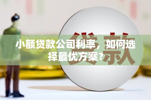 阜康小额贷款公司利率，如何选择最优方案？