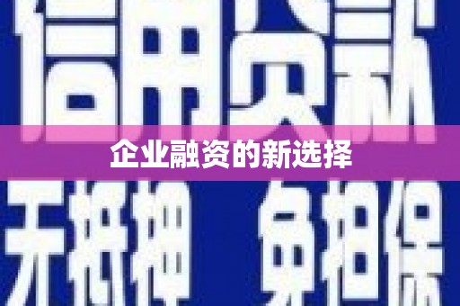 中西企业融资的新选择
