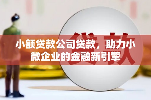 大堂小额贷款公司贷款，助力小微企业的金融新引擎