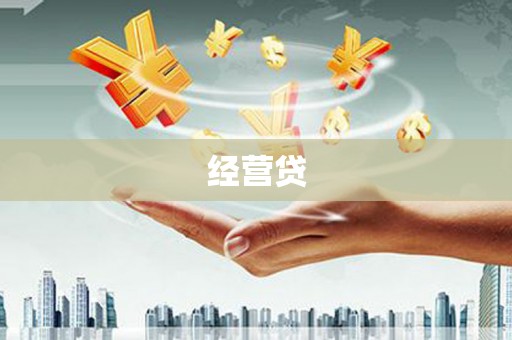 新林经营贷