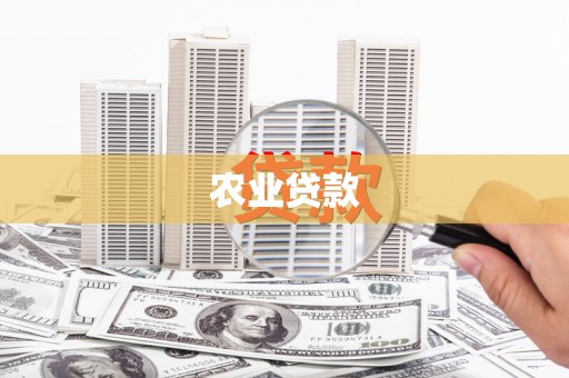 囊谦农业贷款