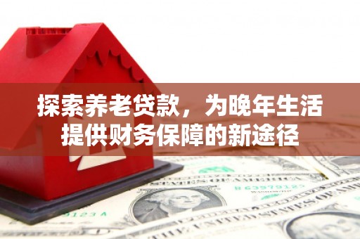 汉南探索养老贷款，为晚年生活提供财务保障的新途径