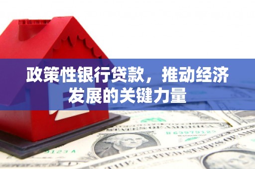 埔心政策性银行贷款，推动经济发展的关键力量