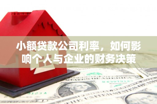 狮子小额贷款公司利率，如何影响个人与企业的财务决策