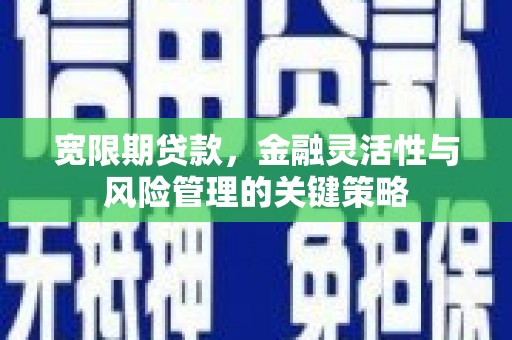临潭宽限期贷款，金融灵活性与风险管理的关键策略