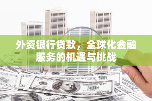 云龙外资银行贷款，全球化金融服务的机遇与挑战