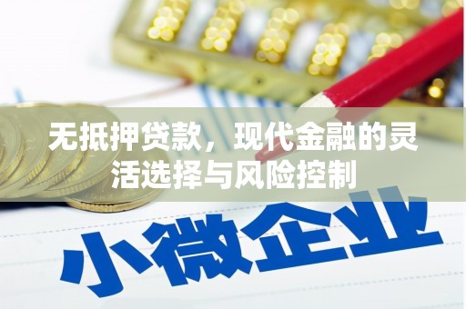 顺河无抵押贷款，现代金融的灵活选择与风险控制