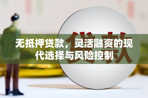 林园无抵押贷款，灵活融资的现代选择与风险控制
