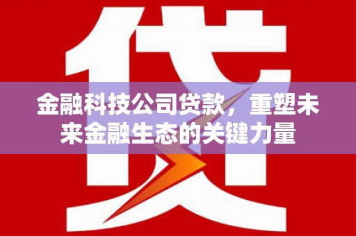 故城金融科技公司贷款，重塑未来金融生态的关键力量
