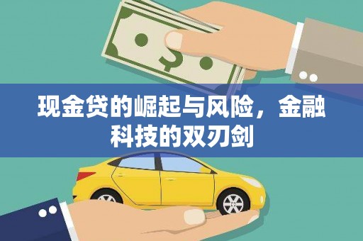 林芝现金贷的崛起与风险，金融科技的双刃剑