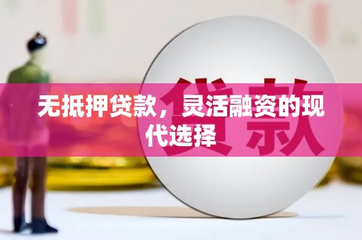龙泉驿无抵押贷款，灵活融资的现代选择