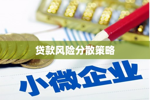 临沭贷款风险分散策略