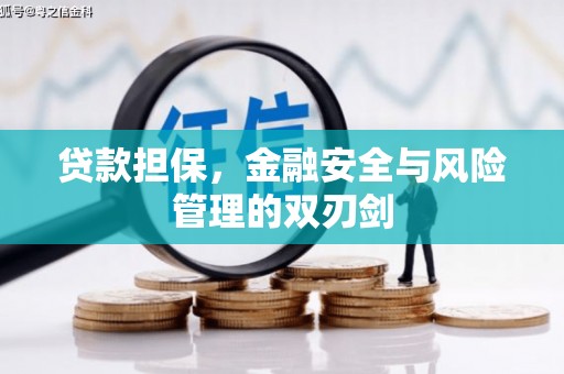 麻涌贷款担保，金融安全与风险管理的双刃剑