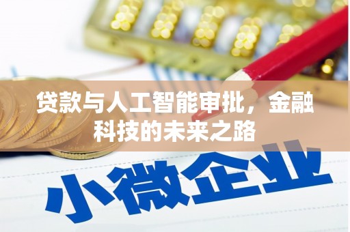 阜平贷款与人工智能审批，金融科技的未来之路
