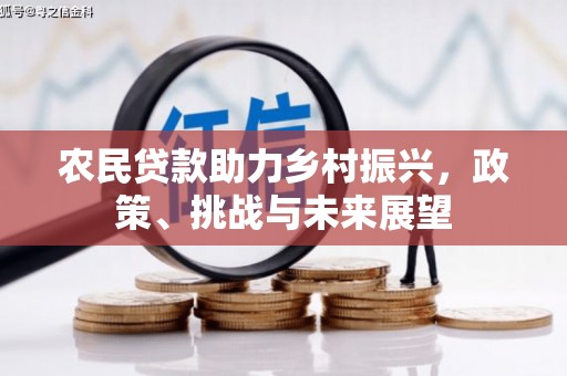 坪林农民贷款助力乡村振兴，政策、挑战与未来展望
