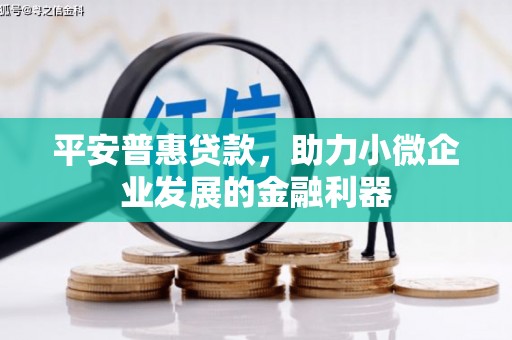 火炬平安普惠贷款，助力小微企业发展的金融利器