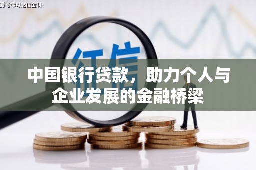 卧龙中国银行贷款，助力个人与企业发展的金融桥梁
