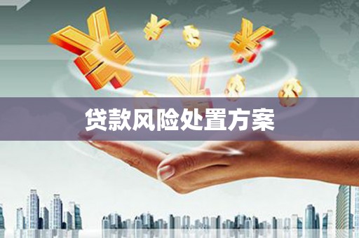 靖西贷款风险处置方案