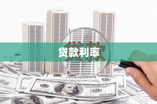 新民贷款利率