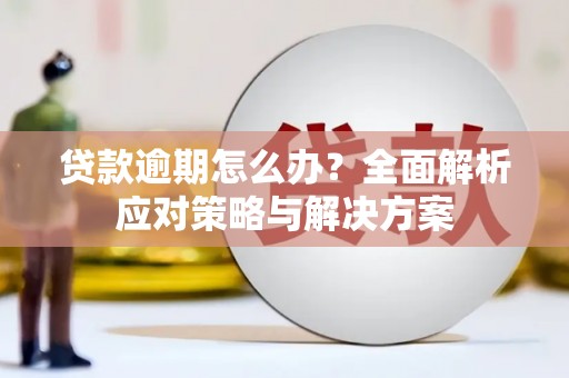 阳新贷款逾期怎么办？全面解析应对策略与解决方案