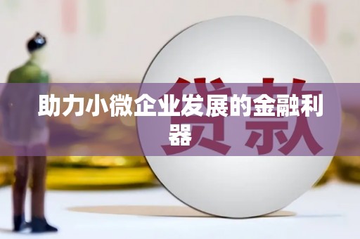 大理助力小微企业发展的金融利器