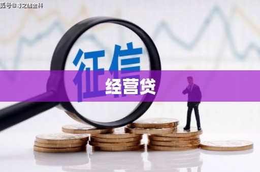 凤林经营贷