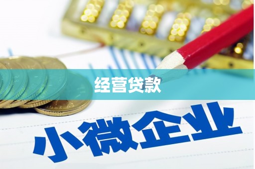 清丰经营贷款