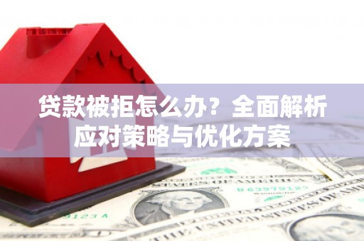 乐东贷款被拒怎么办？全面解析应对策略与优化方案