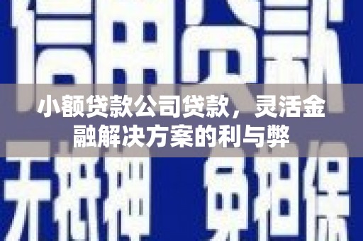 利辛小额贷款公司贷款，灵活金融解决方案的利与弊