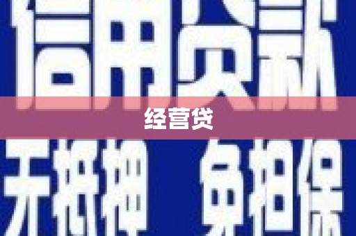 九原经营贷